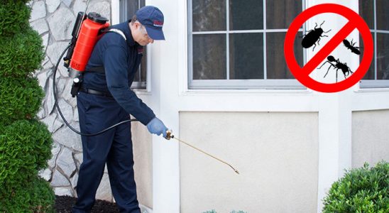 Nallıhan Dezenfeksiyon böcek ilaçlama ve haşere kontrolü — ilaclama-tr.com